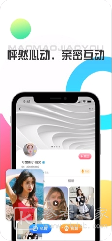 猫咪交友
