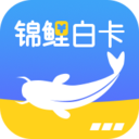 锦鲤白卡