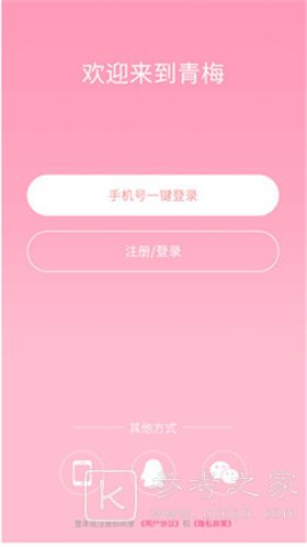 青梅