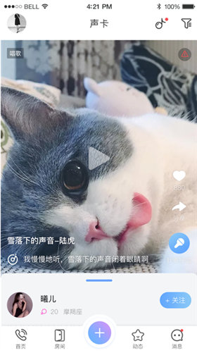青梅截图