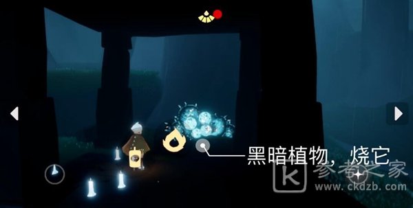 光遇每日任务做法介绍 10月5日蜡烛位置总览