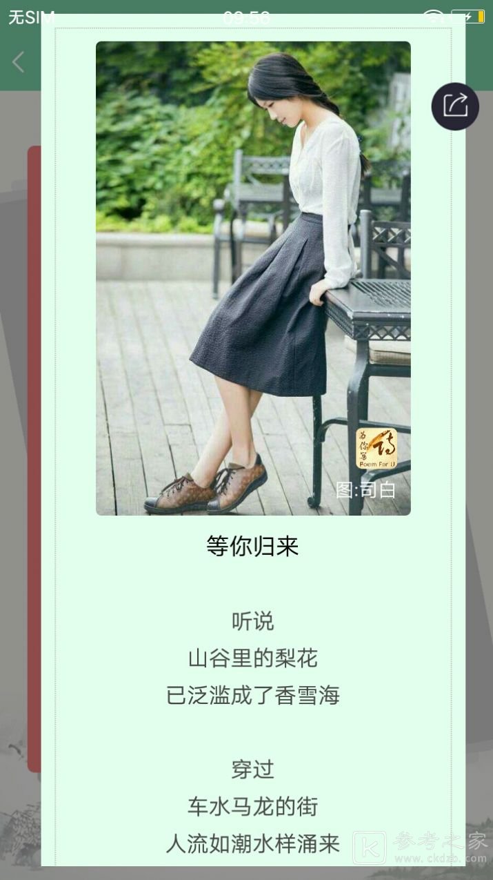 为你写诗