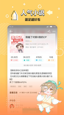 盲灯阅读截图