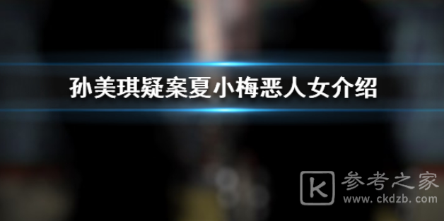 孙美琪疑案夏小梅恶女人在哪里 孙美琪疑案夏小梅恶人女介绍