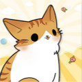 萌猫派对