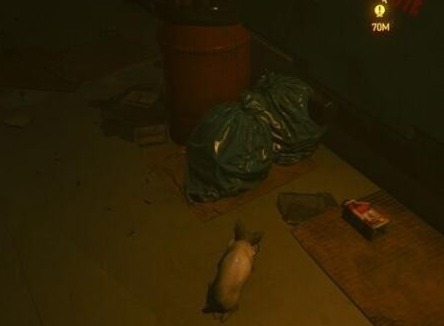 赛博朋克2077猫咪获取方法 赛博朋克2077猫咪怎么收养