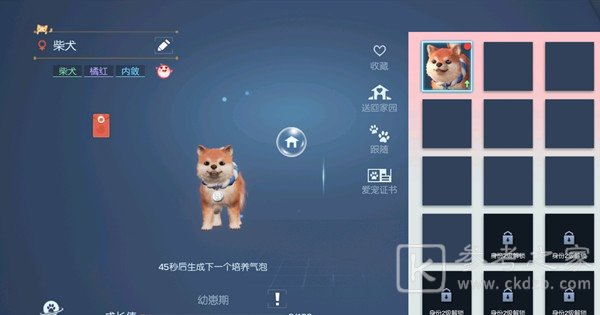 龙族幻想育宠达人新身份怎么玩 育宠达人身份玩法介绍图片4