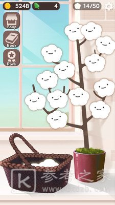 木棉花进化史