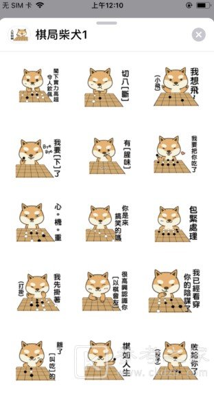 棋局柴犬