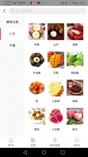 百年猫截图