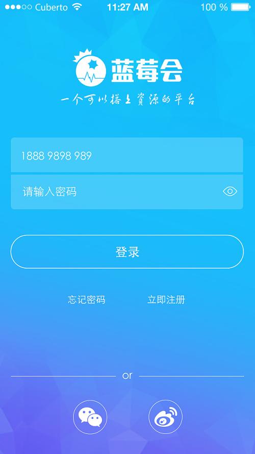 蓝莓派对截图