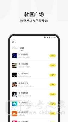叮叮猫