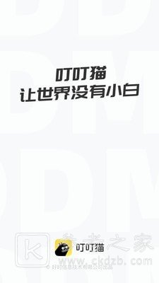 叮叮猫