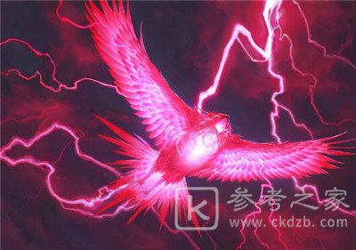 万智牌传奇洁丝卡达戈卡组搭配