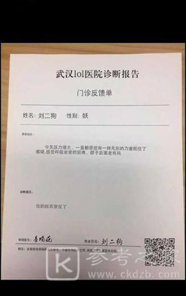诊断报告生成器