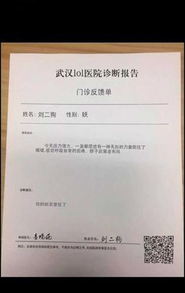 诊断报告生成器截图