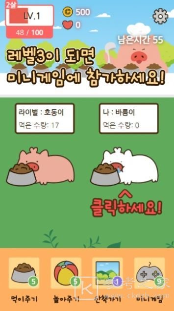 饲养小猪