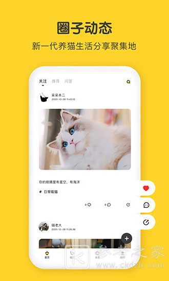 尖叫猫