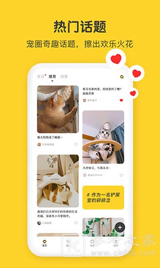 尖叫猫