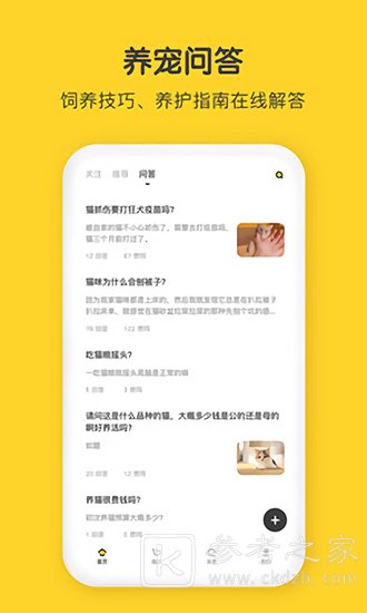 尖叫猫