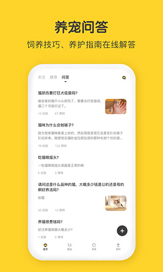尖叫猫截图
