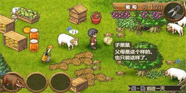 欢迎来到绵羊村截图