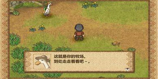 欢迎来到绵羊村截图