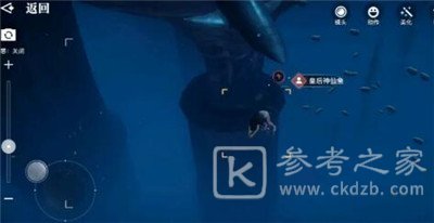 天谕手游汐愿之海鱼类分布介绍 汐愿之海鱼类分布位置分享图片3