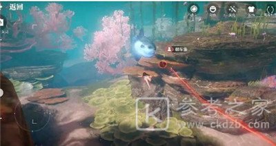 天谕手游汐愿之海鱼类分布介绍 汐愿之海鱼类分布位置分享图片5