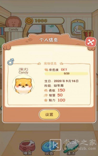 狗狗乐园