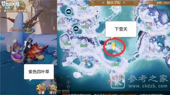 梦想新大陆幸运四叶草奇遇怎么做 幸运四叶草奇遇触发攻略图片7