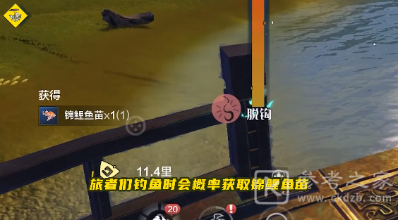 妄想山海锦鲤活动怎么玩？锦鲤活动玩法攻略图片2