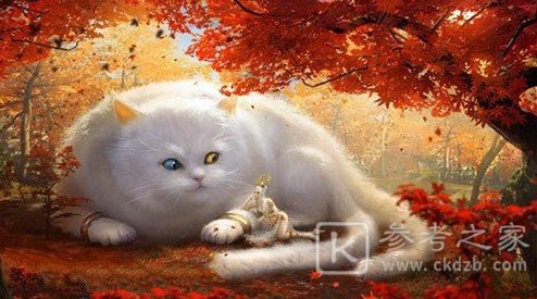 妄想山海朏朏是什么品质 朏朏资质提升方法图片1