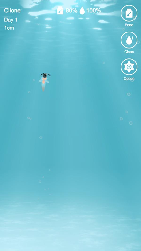 海天使生活截图