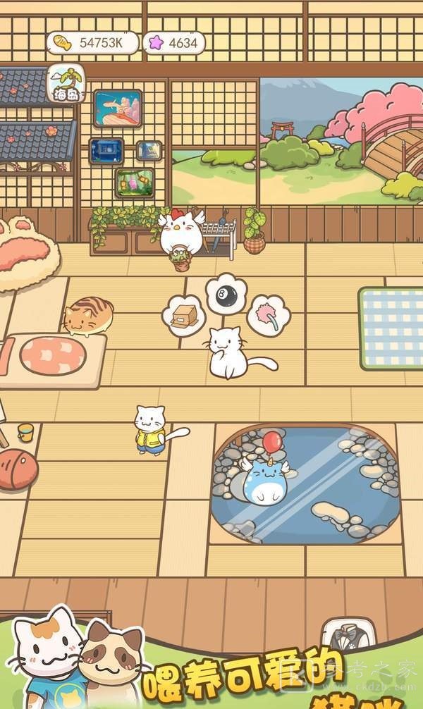 猫咪小院