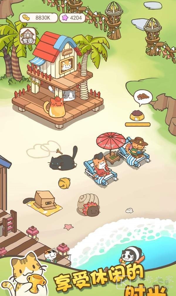 猫咪小院