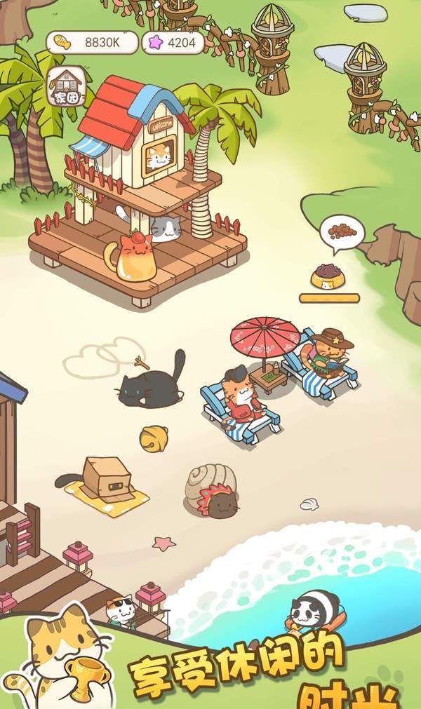 猫咪小院截图