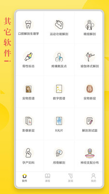 3Dbody解剖截图
