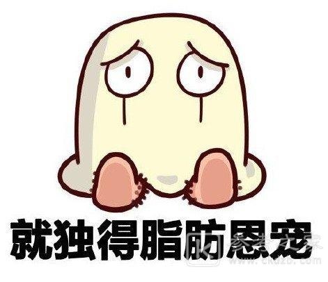 抖音超大表情包代码大全：熊猫头动态gif小脂肪退下吧本宫要瘦了表情包[多图]图片5