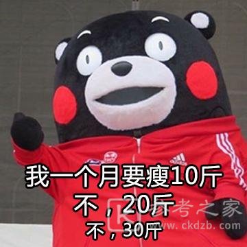 抖音超大表情包代码大全：熊猫头动态gif小脂肪退下吧本宫要瘦了表情包[多图]图片7