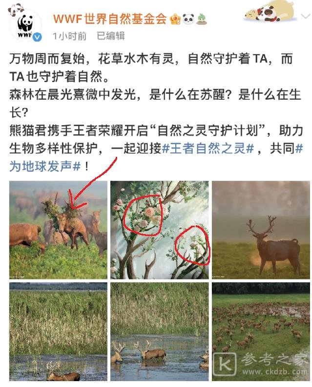 王者荣耀自然之灵皮肤是谁？自然之灵皮肤什么时候出图片2