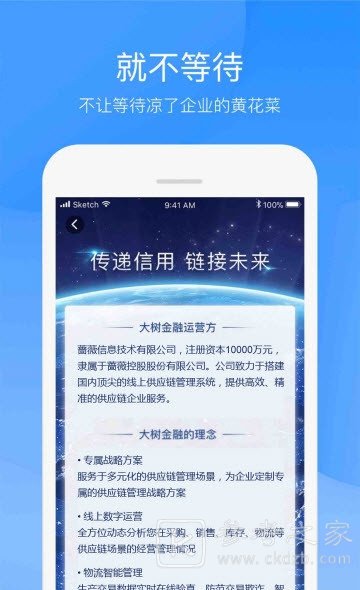 大树金融