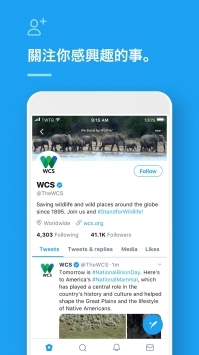 tweet截图