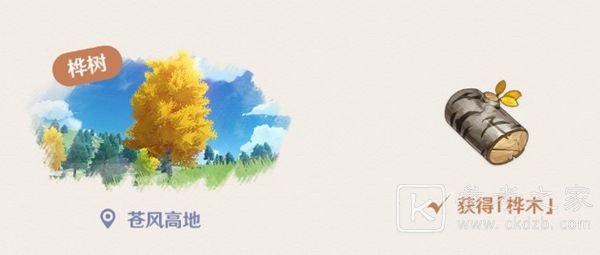 原神哪里的桦木多 桦木采集位置分布指南