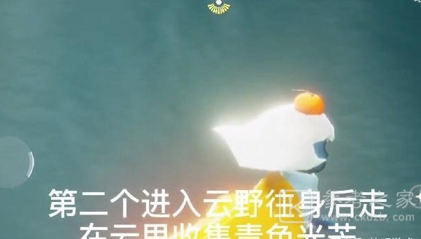 光遇5.22任务攻略 5月22日大蜡烛季节蜡烛位置大全图片3