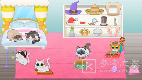 猫咪的生活