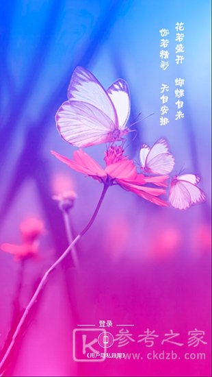 小花螺蝴蝶飞直播