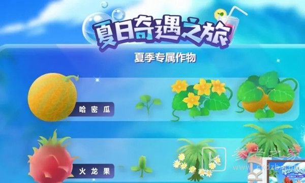 摩尔庄园夏日收集攻略 夏日收集全物品位置坐标大全图片3