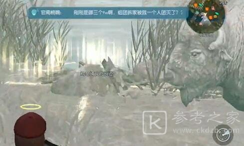 黎明觉醒白鳄女王在哪