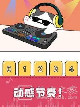 我的猫咪会打碟